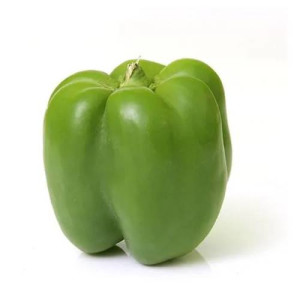 home_event_gallery_8