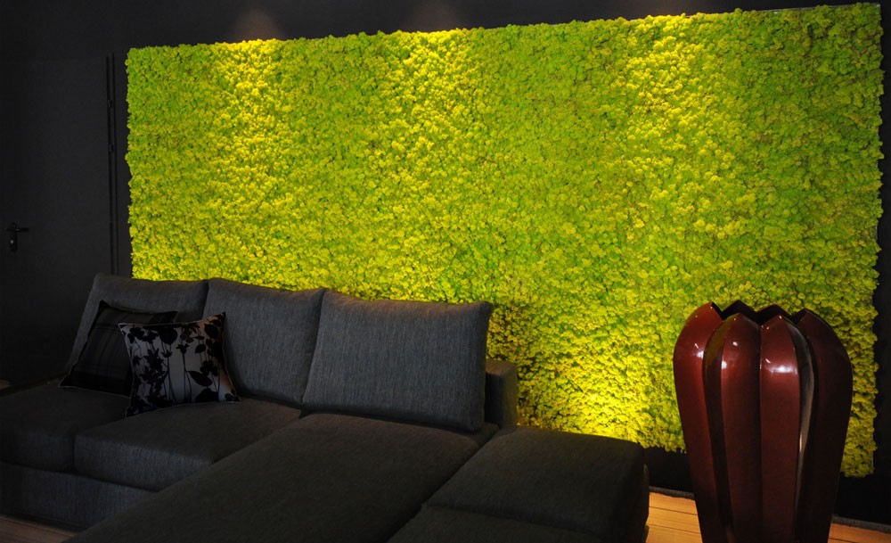 Moss Walls