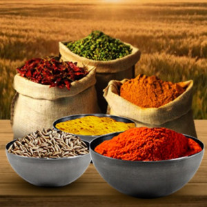 home_event_gallery_8