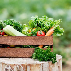 home_event_gallery_1