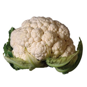 home_event_gallery_8