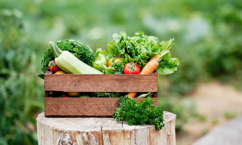 Fresh & Local Groceries