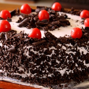 home_event_gallery_8