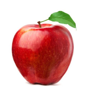 home_event_gallery_8