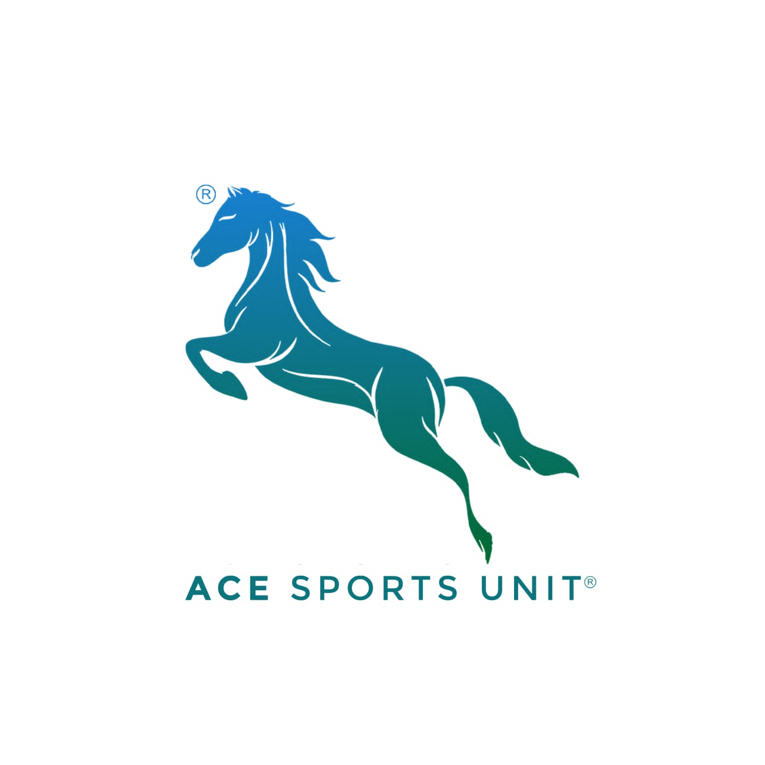 Ace Sports Unit